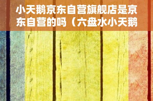 小天鹅京东自营旗舰店是京东自营的吗（六盘水小天鹅洗衣机专卖店在哪里）（太原国美电器小天鹅洗衣机专卖店是京东自营的吗）