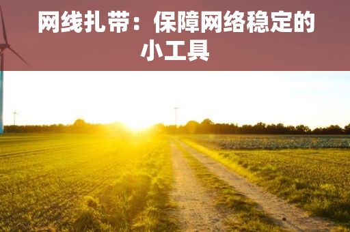 网线扎带：保障网络稳定的小工具