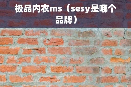 极品内衣ms（sesy是哪个品牌）