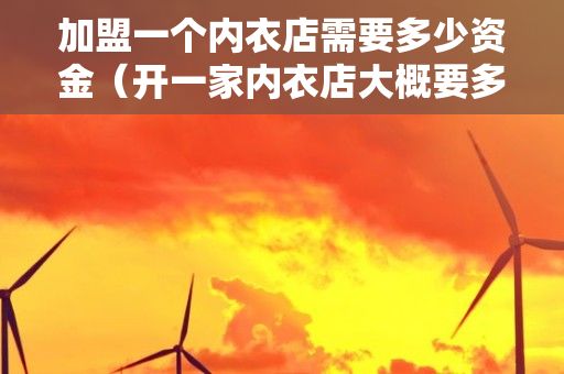 加盟一个内衣店需要多少资金（开一家内衣店大概要多少钱，内衣加盟？）