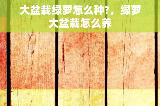 大盆栽绿萝怎么种?，绿萝大盆栽怎么养