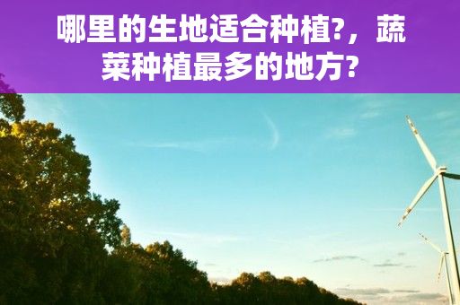 哪里的生地适合种植?，蔬菜种植最多的地方?