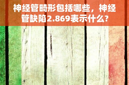 神经管畸形包括哪些，神经管缺陷2.869表示什么?