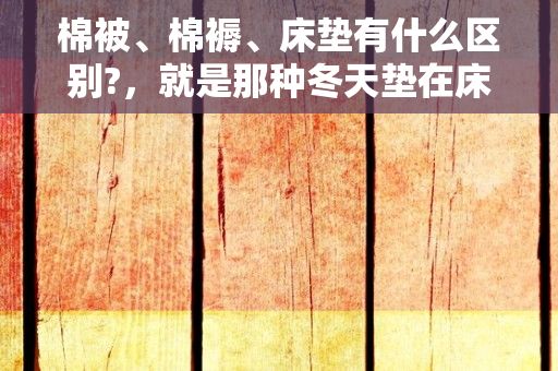 棉被、棉褥、床垫有什么区别?，就是那种冬天垫在床上,睡在上面的棉被,叫什么?我想在淘宝买,搜索了棉被...