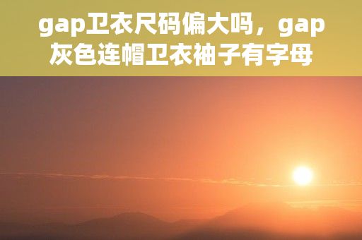 gap卫衣尺码偏大吗，gap灰色连帽卫衣袖子有字母