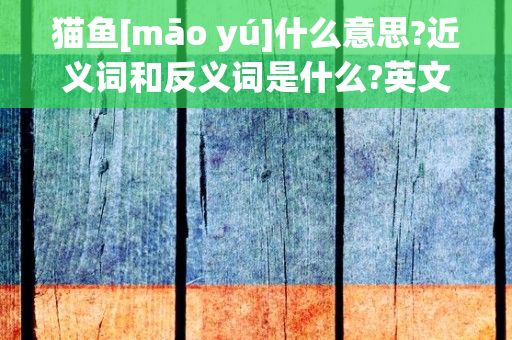 猫鱼[māo yú]什么意思?近义词和反义词是什么?英文翻译是什么?，猫鱼的意思猫鱼的意思是什么