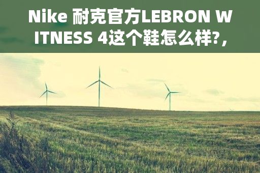 Nike 耐克官方LEBRON WITNESS 4这个鞋怎么样?，