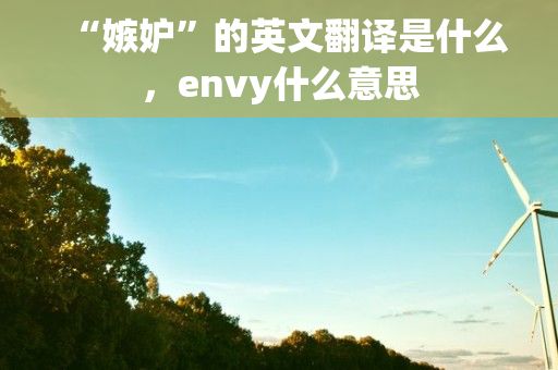 “嫉妒”的英文翻译是什么，envy什么意思