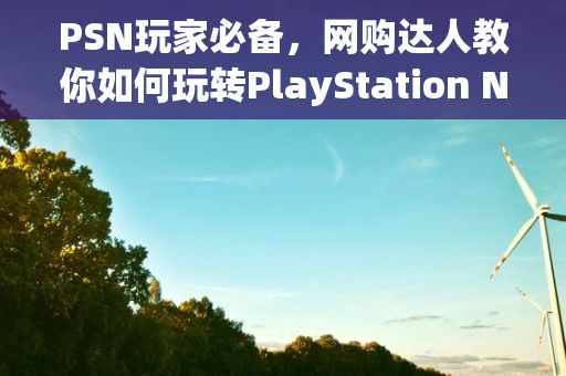 PSN玩家必备，网购达人教你如何玩转PlayStation Network购物攻略