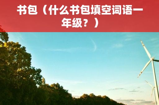 书包（什么书包填空词语一年级？）