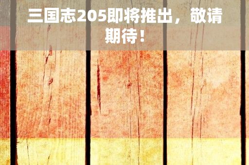 三国志205即将推出，敬请期待！