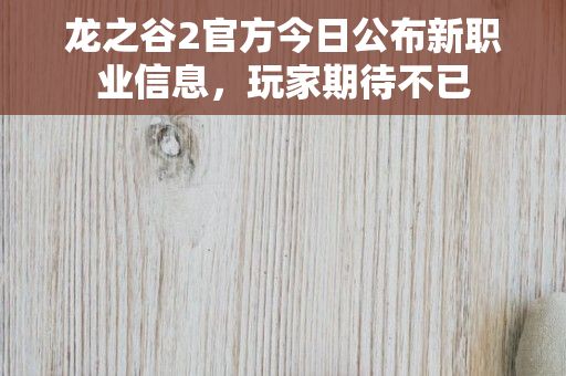 龙之谷2官方今日公布新职业信息，玩家期待不已