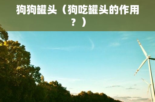 狗狗罐头（狗吃罐头的作用？）