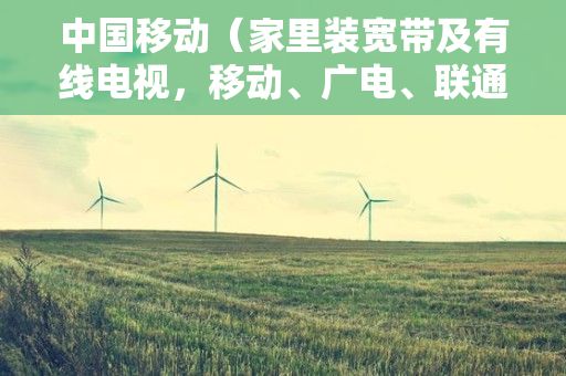 中国移动（家里装宽带及有线电视，移动、广电、联通、电信哪个更划算？）