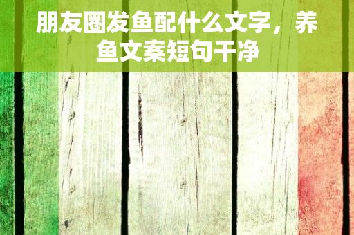 朋友圈发鱼配什么文字，养鱼文案短句干净