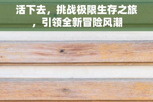 活下去，挑战极限生存之旅，引领全新冒险风潮