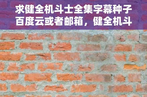 求健全机斗士全集字幕种子百度云或者邮箱，健全机斗士哪一集最劲爆