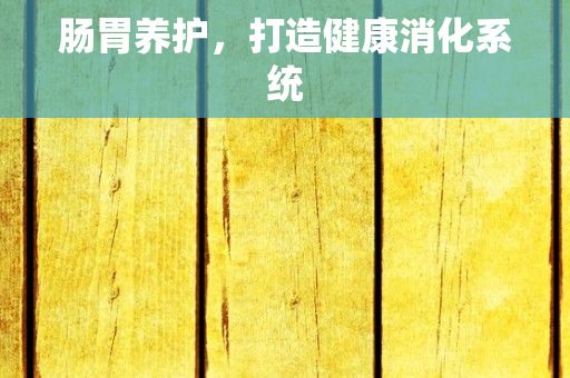 肠胃养护，打造健康消化系统