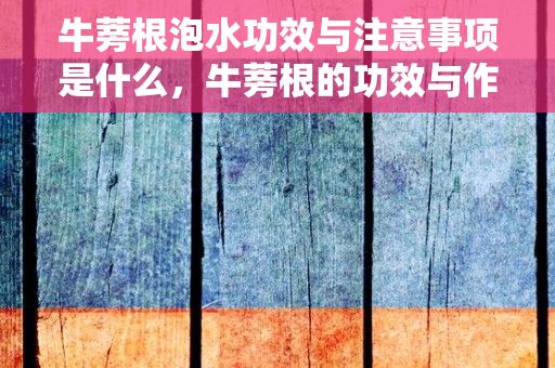 牛蒡根泡水功效与注意事项是什么，牛蒡根的功效与作用点的功效