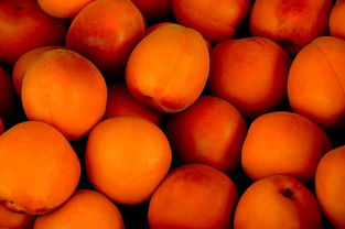 黄桃成熟之谜：何时是品尝美味黄桃的最佳季节？，黄桃什么季节成熟