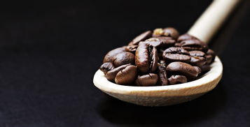 进口咖啡豆，从挑选到烘焙的全方位指南