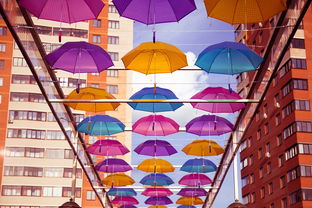 雨伞雨具，网购达人的必备选择