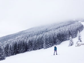 男雪地靴，冬季必备的时尚与保暖双重神器