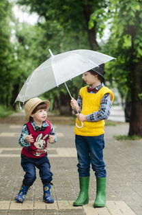 雨伞雨具选购指南，资深网购达人的实用建议