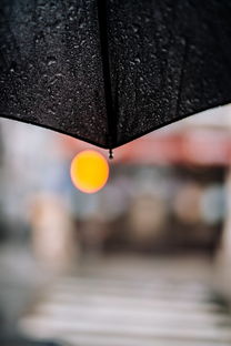 雨伞雨具选购指南，资深网购达人的实用建议